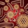 Resistencia a Antibióticos